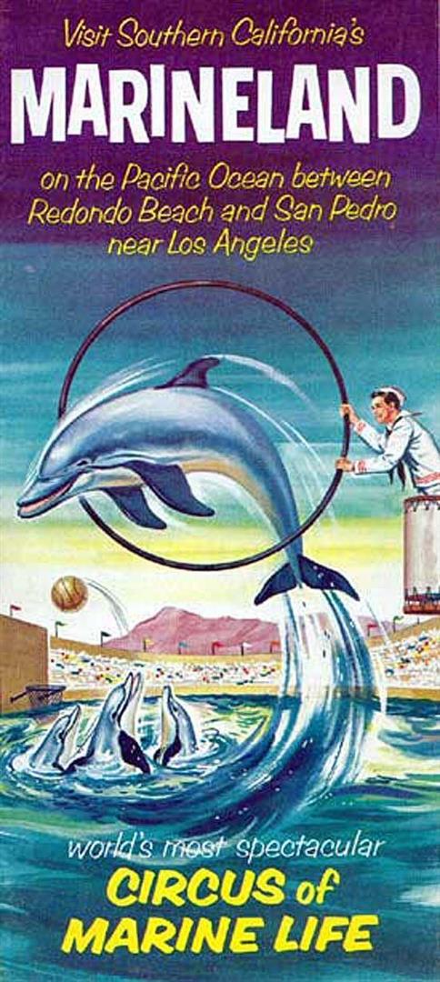 Marinelandbrochureporpoise.jpg