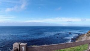 View from Seascape Trail